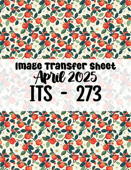 ITS-273- Transfer Paper - April 2025 Launch