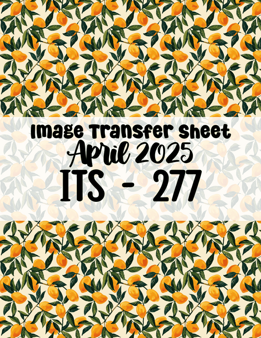 ITS-277 - Transfer Paper - April 2025 Launch
