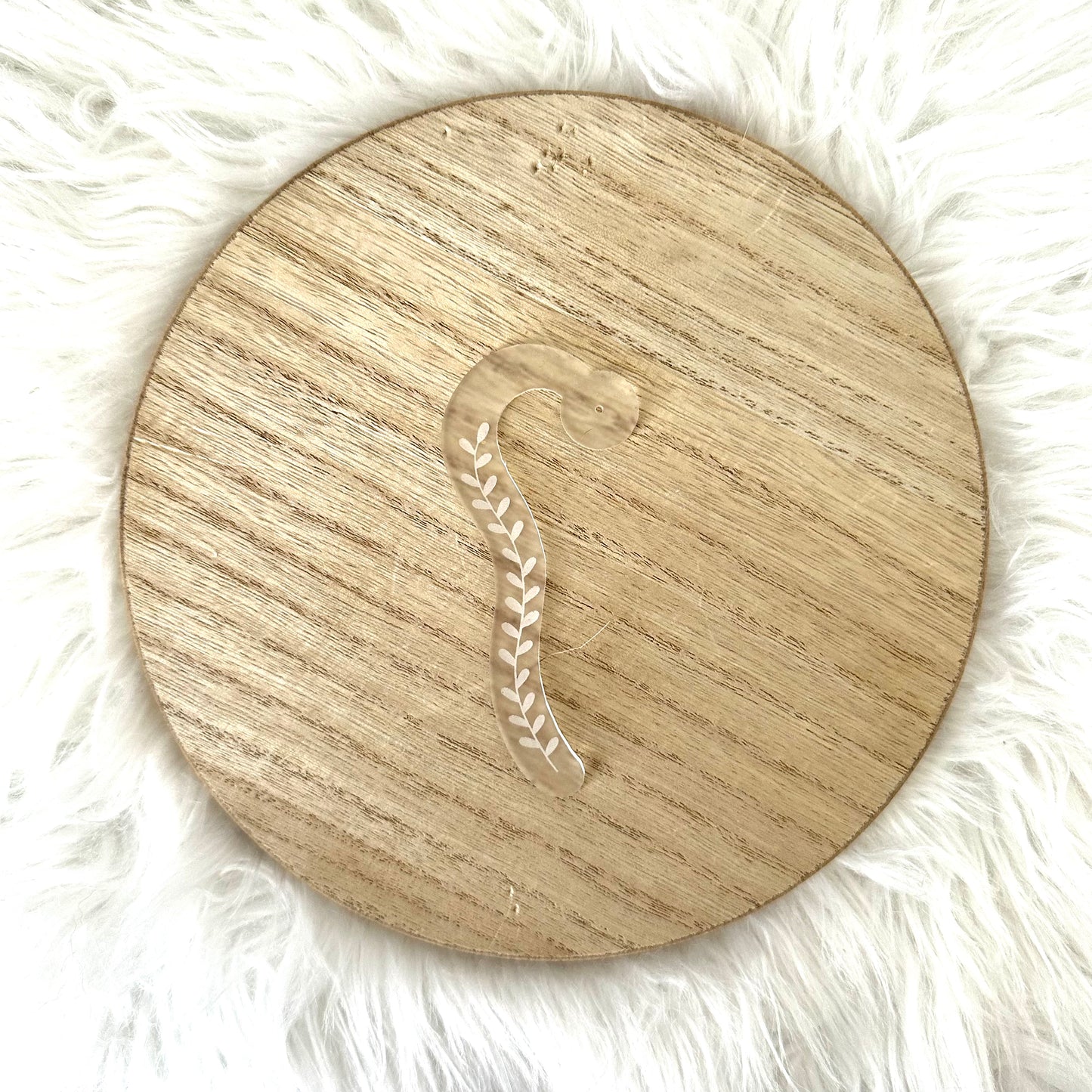 Vine Earring Display Stick - Acrylic - 1 Piece
