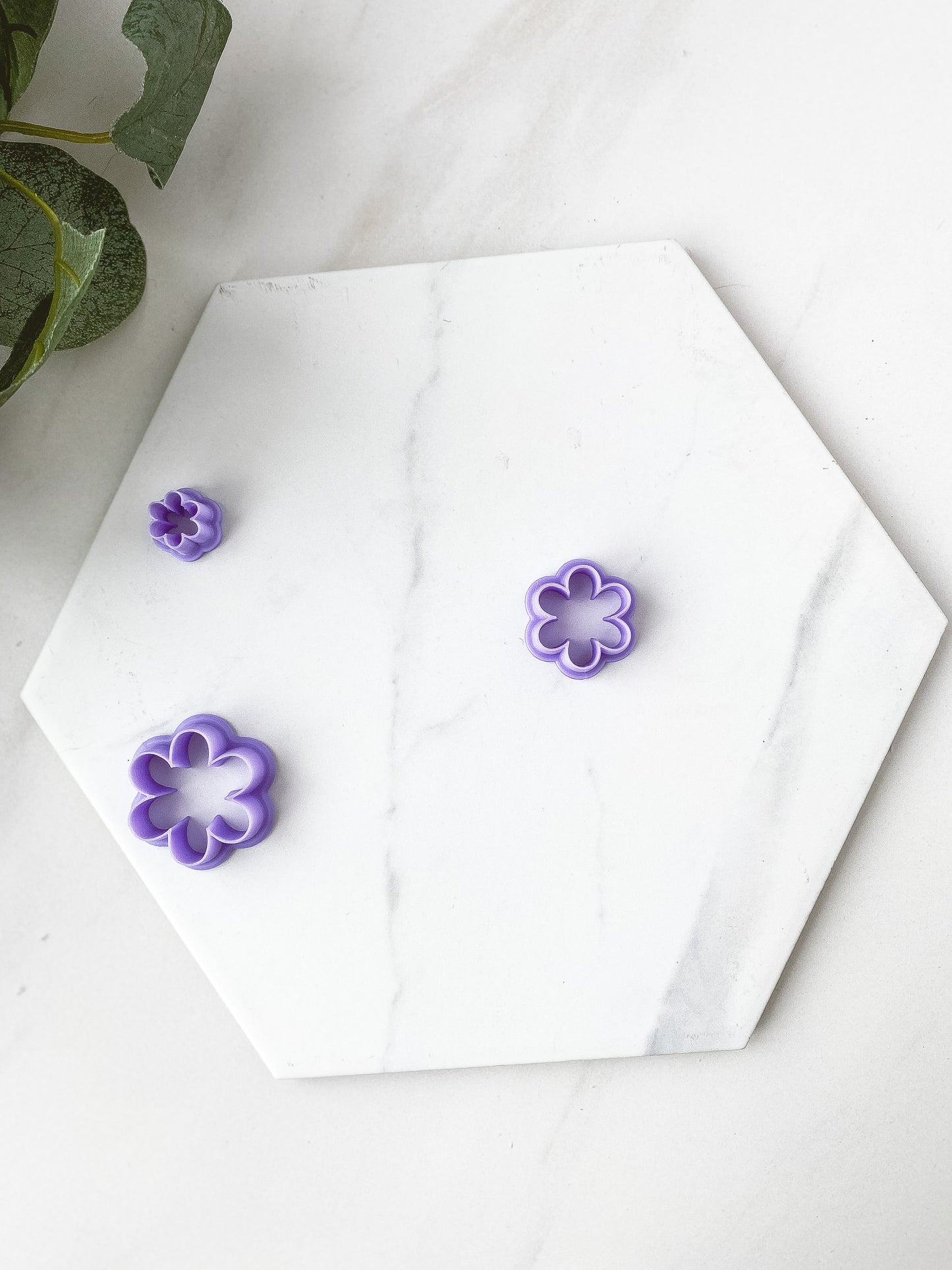 6 Petal Flower