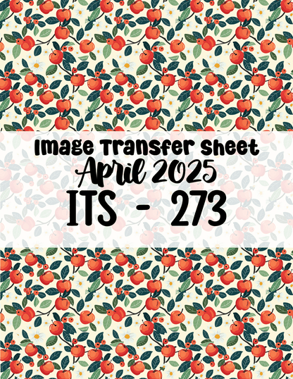 ITS-273- Transfer Paper - April 2025 Launch