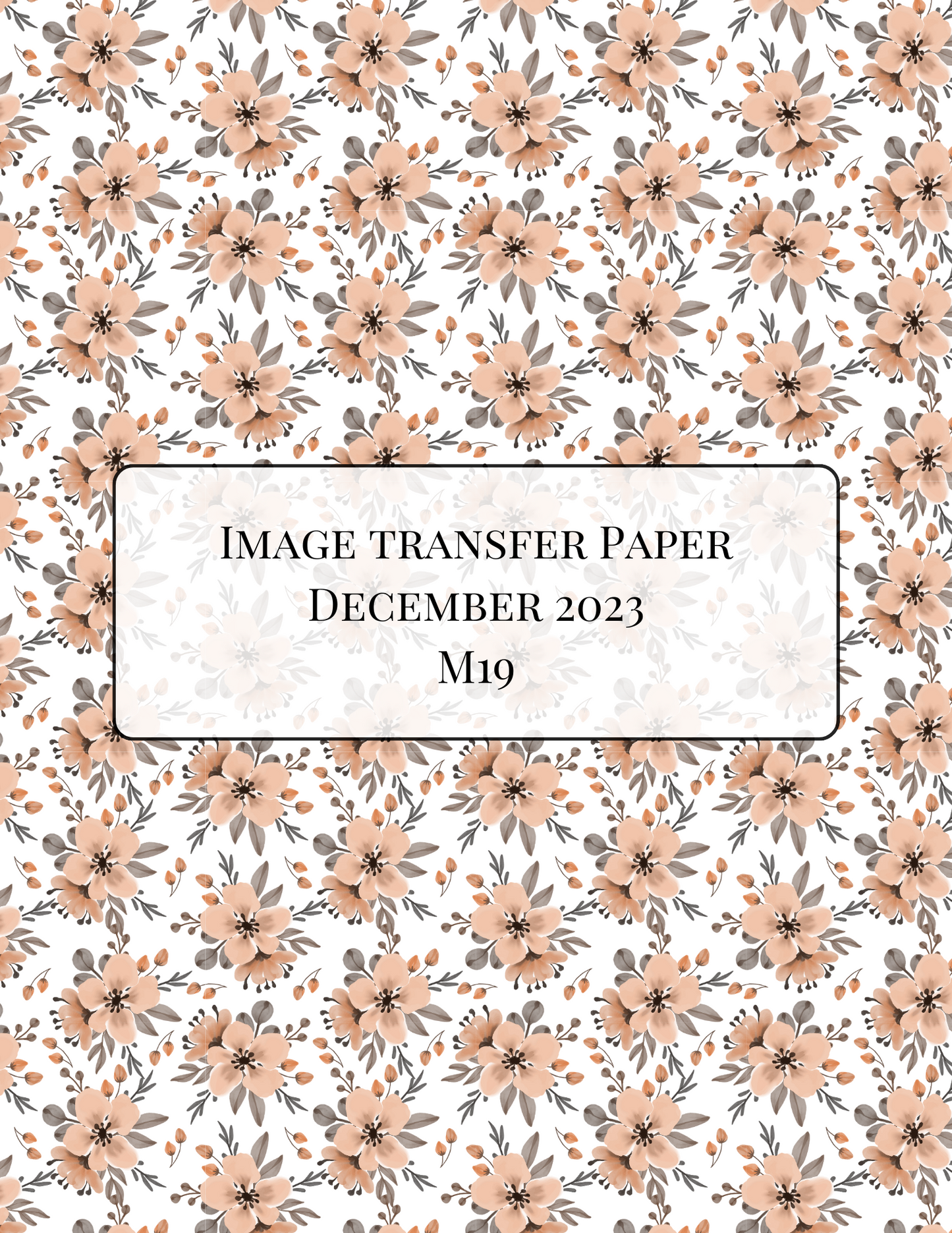 M19 Transfer Paper - December 2023 Launch