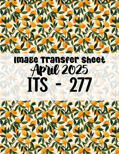 ITS-277 - Transfer Paper - April 2025 Launch