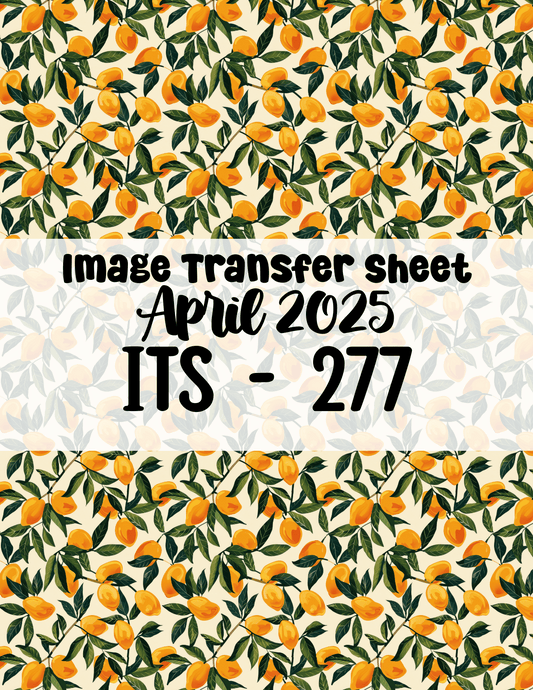 ITS-277 - Transfer Paper - April 2025 Launch