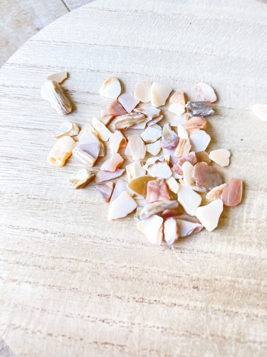 Shell Pieces - 3oz Bag