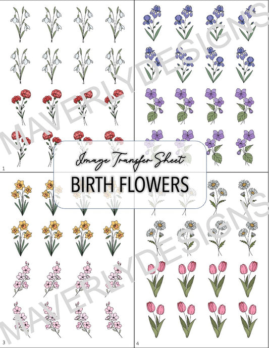 COLOR - Birth Month Transfer Paper (12 Sheets) - February Launch