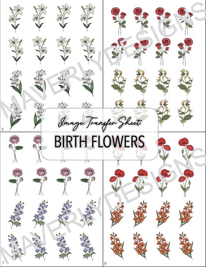 COLOR - Birth Month Transfer Paper (12 Sheets) - February Launch