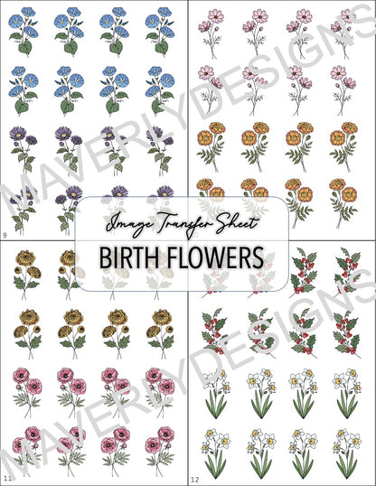 COLOR - Birth Month Transfer Paper (12 Sheets) - February Launch