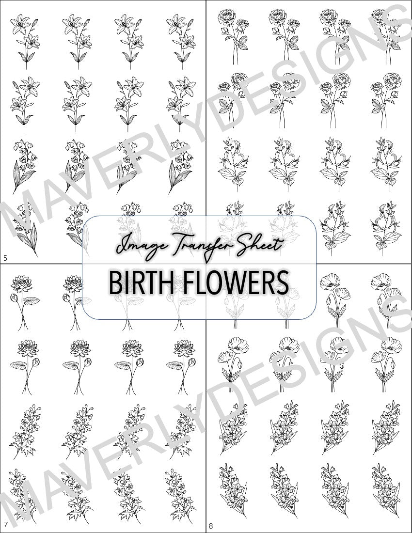 B&W - Birth Month Transfer Paper (12 Sheets) - February Launch